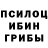 Псилоцибиновые грибы прущие грибы Hister World
