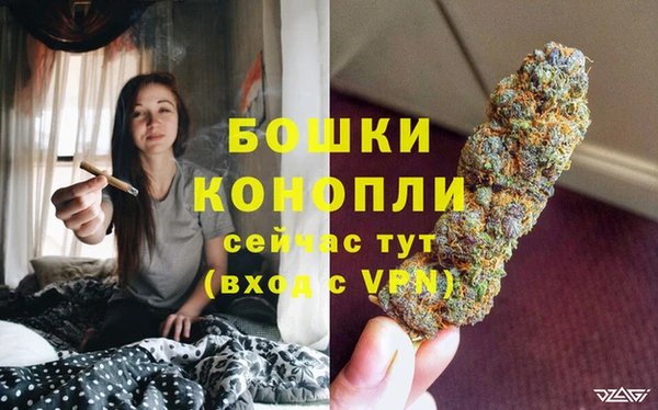 спайс Аркадак