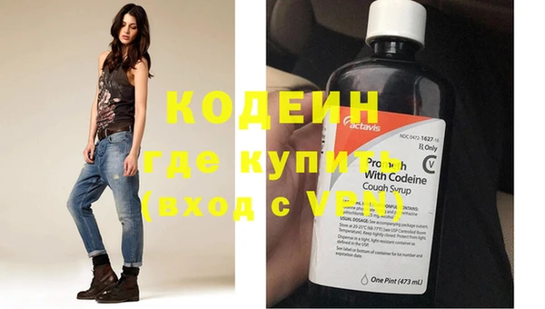 прущие грибы Кукмор